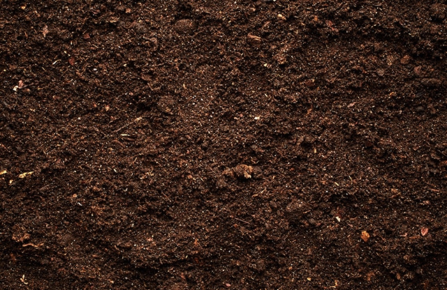 BSA soil amendments