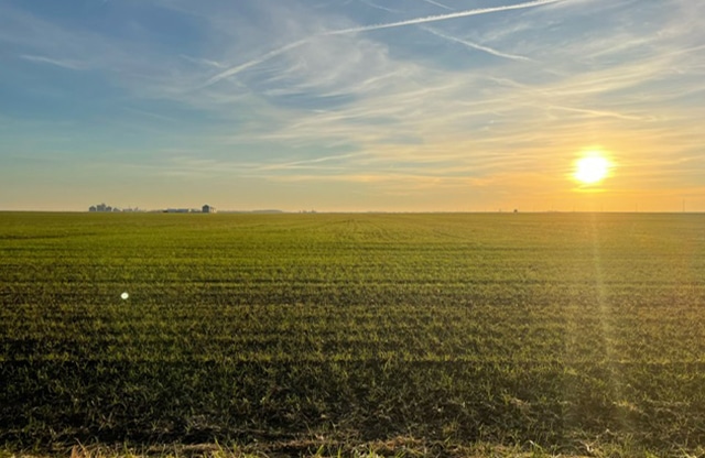 soil conditioner on field
