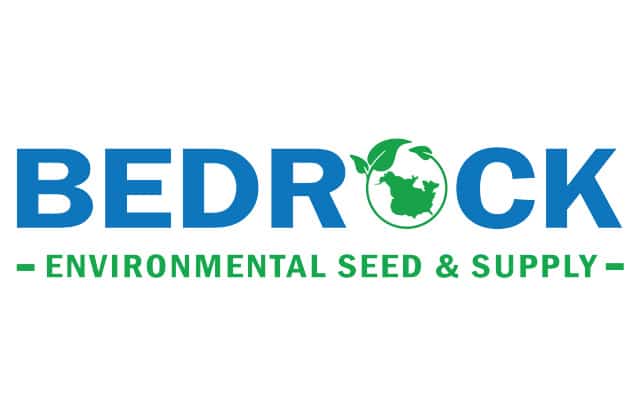 bedrock logo placeholderv