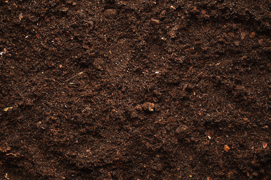 soil close-up