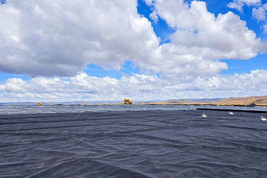 An expansive body of water covered with black LDPE liner, with white birds, distant structures, and a cloudy blue sky.