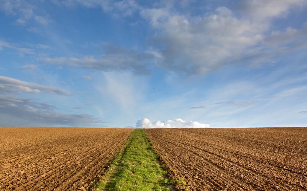 A freshly ploughed brown field with a strip of vibrant green grass running through the middle, under a partly cloudy blue sky.