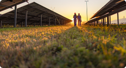 engineers walking in solar farm row towards sunset