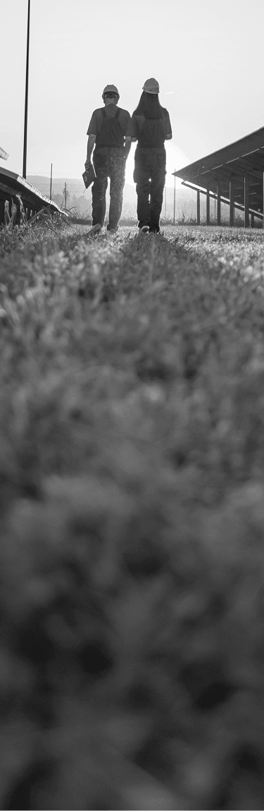 engineers walking in field