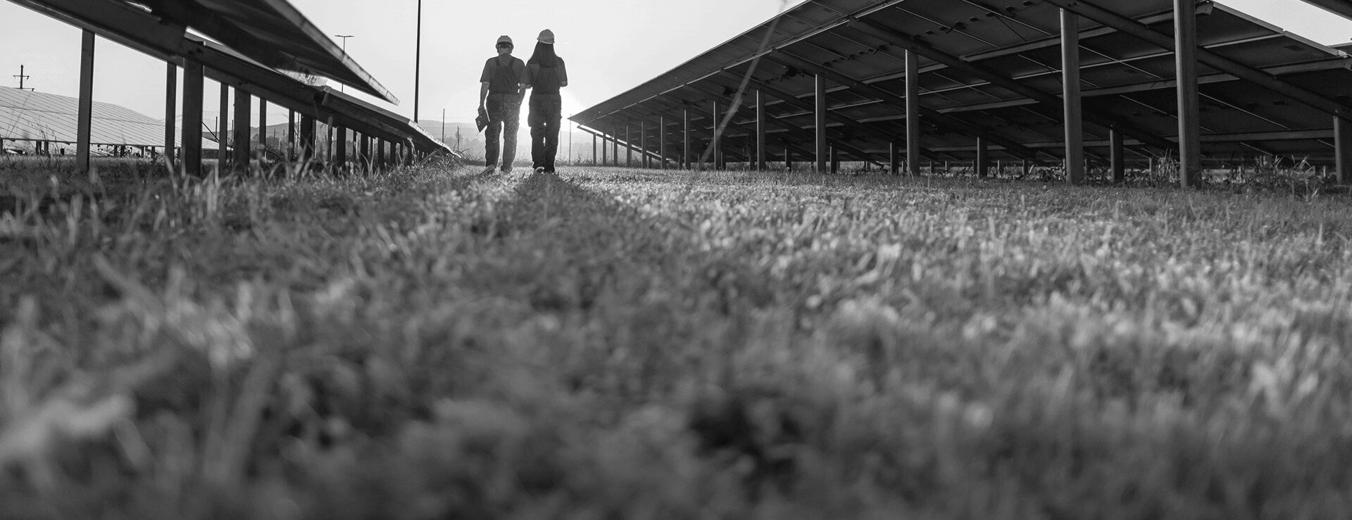 engineers walking in field landscape