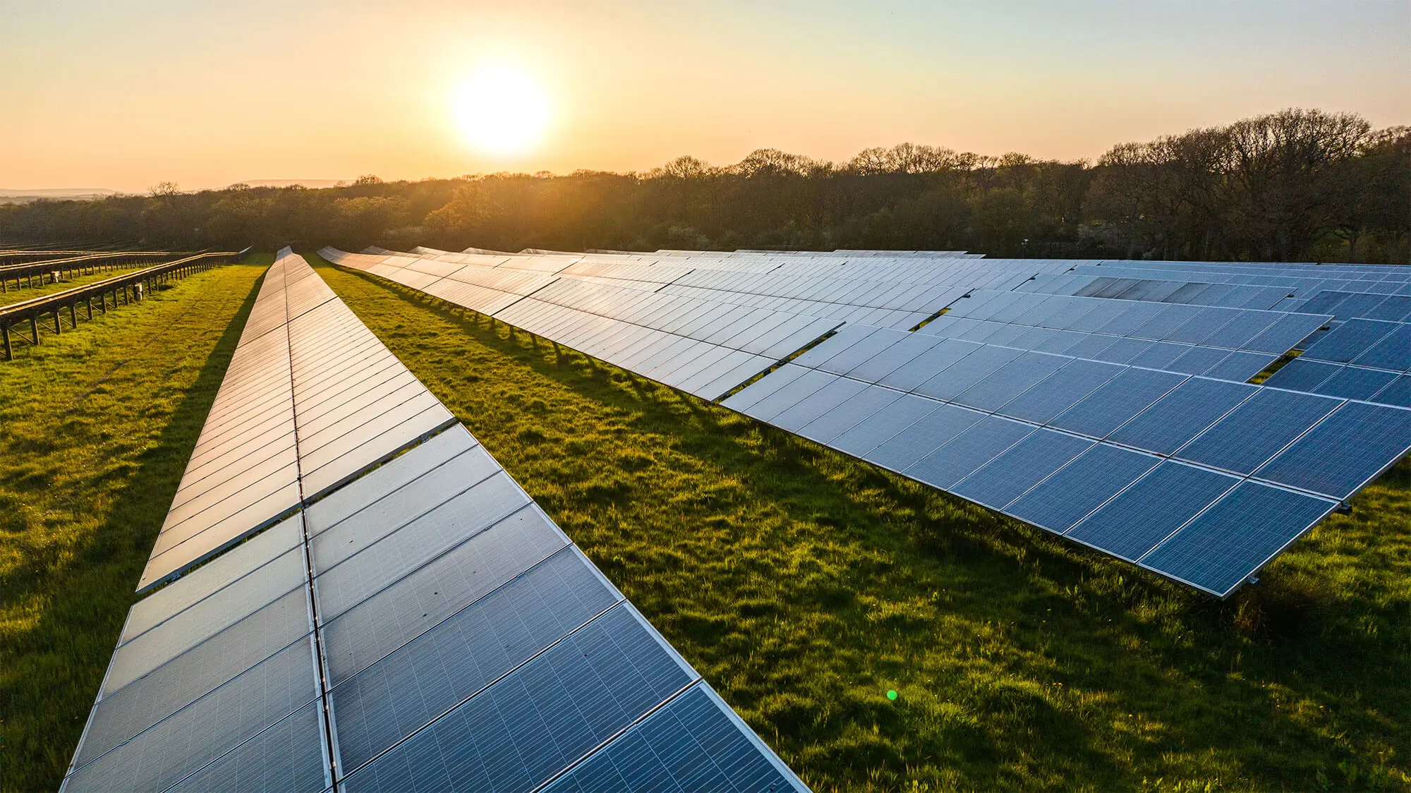 solar panels in field with sunset background